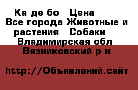 Ка де бо › Цена ­ 25 - Все города Животные и растения » Собаки   . Владимирская обл.,Вязниковский р-н